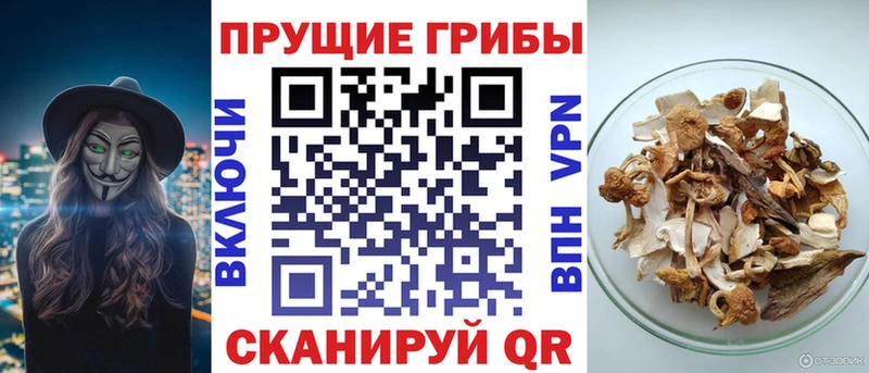 Галлюциногенные грибы Psilocybine cubensis  darknet как зайти  Дно 